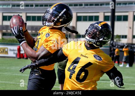 Pittsburgh Steelers linebacker Devin Bush (55) lines up for a play during  an NFL football game against the Cleveland Browns, Thursday, Sept. 22,  2022, in Cleveland. (AP Photo/Kirk Irwin Stock Photo - Alamy