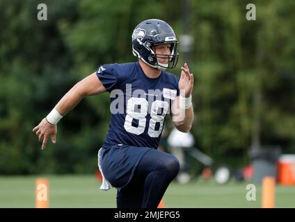 Seattle Seahawks tight end Will Dissly (89) catches a pass against the Los  Angeles Rams during a NFL football game, Sunday, Dec. 4, 2022, in Inglewood  Stock Photo - Alamy