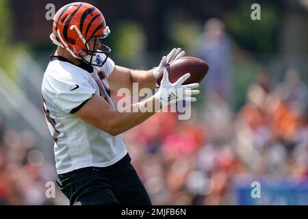 Cincinnati Bengals tight end Moritz Boehringer 49 catches a ball during NFL football training camp Sunday July 28 2019 in Cincinnati. AP Photo Bryan Woolston Stock Photo Alamy