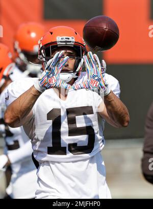 Damon Sheehy-Guiseppi: What the Browns are getting in their new WR