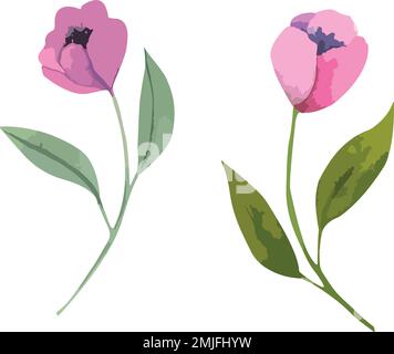 Set of vector watercolor flowers, botanical illustration of magenta color. Stock Vector