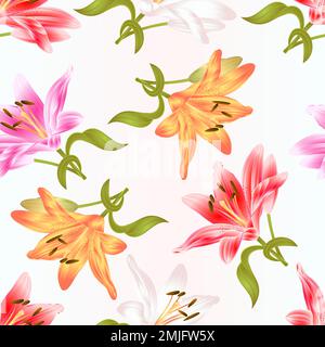 Seamless texture stem Lily flower white pink yellow red Lilium candidum on a white background  vintage vector illustration editable Hand draw Stock Vector