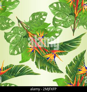 Seamless texture beautiful Strelitzia reginae tropical flowers and banana leaves and monstera on white background vintage vector illustration editable Stock Vector