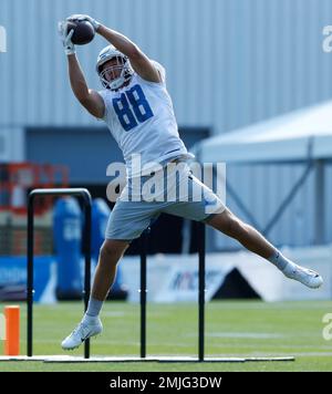 Detroit Lions' T.J. Hockenson celebrates his touchdown catch with Trinity  Benson (17) during the first half of an NFL football game Monday, Sept. 20,  2021, in Green Bay, Wis. (AP Photo/Morry Gash