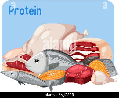 Variety of protein foods vector illustration Stock Vector Image & Art ...
