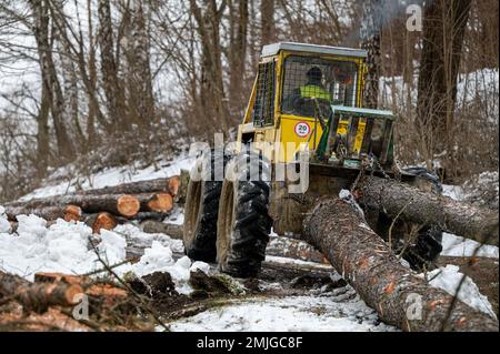 A skidder pulling a felled tree. Poland. Stock Photo