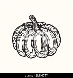 and-drawn stylized image of pumpkin. Graphic black and white image isolated on white background. Vector illustration. Stock Vector