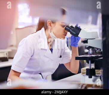 Under the microscope, the little thing mean a lot. a young scientist using a microscope in a laboratory. Stock Photo