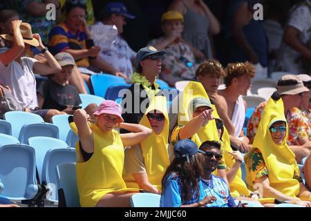 Sydney, Australia. 28th Jan 2023. 28th January 2023; Allianz Stadium, Sydney, NSW, Australia: HSBC Sydney Rugby Sevens Australia versus Canada ; Australia fans Credit: Action Plus Sports Images/Alamy Live News Stock Photo