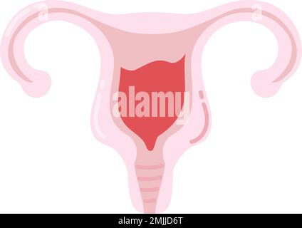 Menstrual cycle control concept icon. Hormone therapy idea thin line  illustration. Women health, medicare. Female reproductive system, fertility.  Vect Stock Vector Image & Art - Alamy