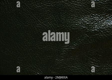 dark green genuine leather as a background close up Stock Photo