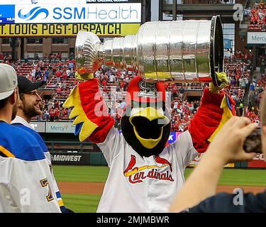 St. Louis Cardinals Blues Team Baseball 2023 T-Shirt Gift For Fans