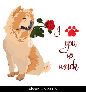 Cute Chow chow pet dog with rose flower for Valentine Day card, vector Stock Vector