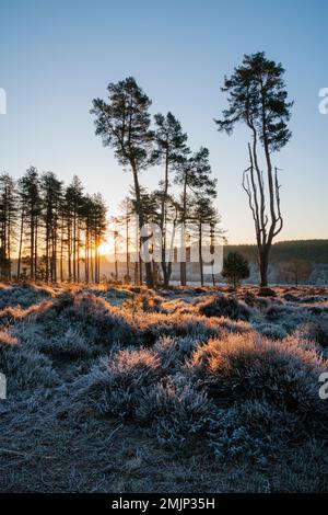 Sunrise at Cleddon Nature Reserve in the Wye Valley. Stock Photo