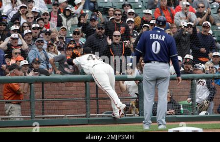 Video: Pablo Sandoval catches final out in foul territory, Giants win 2014  World Series - NBC Sports