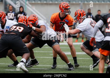 Cincinnati Bengals quarterback Jake Dolegala (7) during NFL