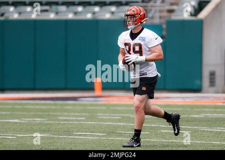 Stream AM2BF 9/7 Bengals Tight End Drew Sample Joins! by Allow Me 2 Be  Frank