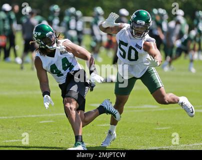 August 6, 2019, Florham Park, New Jersey, USA: New York Jets linebackers Frankie  Luvu (50) and Anthony Wint (52) during training camp at the Atlantic Health  Jets Training Center, Florham Park, New