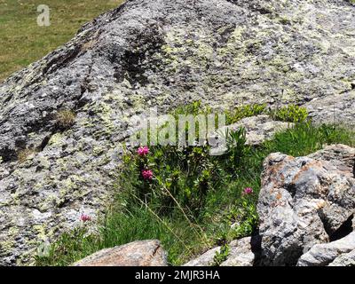 Tremorgio, Switzerland: panoramic alpine landscape of the Campolungo region Stock Photo
