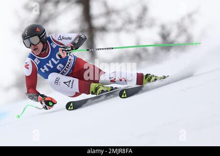 Austria's Raphael Haaser competes during a men's World Cup downhill ...