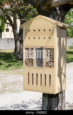 Wooden insect house decorative bug hotel ladybird and bee home in house garden for butterfly hibernation and ecological gardening Stock Photo