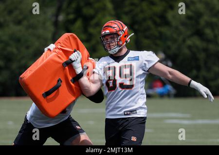 Cincinnati Bengals tight end Drew Sample (89) lines up for a play during an  NFL football game against the Pittsburgh Steelers, Sunday, Sep. 11, 2022,  in Cincinnati. (AP Photo/Kirk Irwin Stock Photo - Alamy