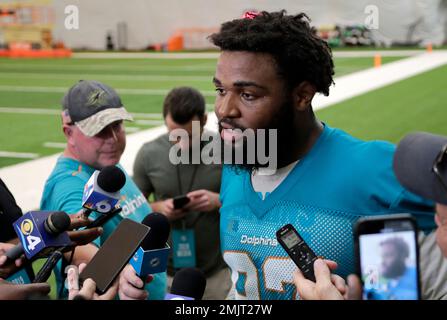 Miami Dolphins defensive end Christian Wilkins (94) watches the play during  a NFL football game, Sunday, Oct. 10, 2021 in Tampa, Fla. (AP Photo/Alex  Menendez Stock Photo - Alamy