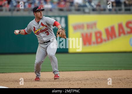 St. Louis Cardinals: Jedd Gyorko's place on the 2019 roster