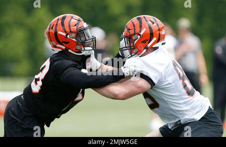 Cincinnati Bengals running back Chris Evans (25) scores a touchdown during  an NFL football game against the Kansas City Chiefs, Sunday, Dec. 4, 2022,  in Cincinnati. (AP Photo/Jeff Dean Stock Photo - Alamy