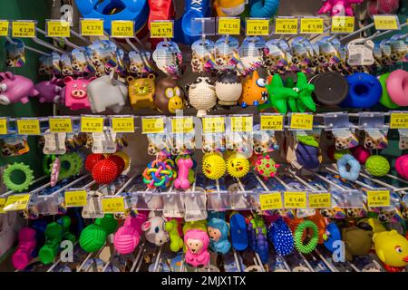 Italy - January 28, 2023: colorful rubber and plastic toys for dogs for sale on the shelf of italian discount supermarket Stock Photo