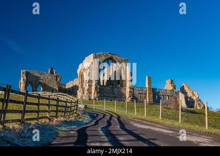 The ruins of the Premonstratensian Egglestone Abbey near Barnard Castle, Teesdale in very strong January sunshine under a cloudless deep blue sky. Stock Photo