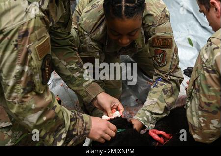 U.S. Air Force Staff Sgt. Karla Williams, a medical responder assigned to the 673rd Surgical Operations Squadron, participates in a mock dire K-9 rescue scenario at the medical training facility on Joint Base Elmendorf-Richardson, Alaska, Sept. 1, 2022. The 673d Medical Group hosted its first-ever Joint Tactical Combat Casualty Care-K-9 course geared toward exposing military emergency providers, doctors, and independent medical technicians to basic emergency medical care for military working dogs. Students of the course split into two groups during the hands-on portion of the course, which pro Stock Photo