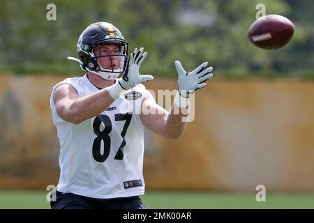 Steelers Cut former Pine-Richland, Youngstown State TE Kevin Rader