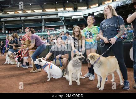 Bark at the Park  Arizona Diamondbacks