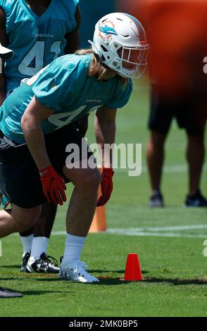 Miami Dolphins linebacker Andrew Van Ginkel (43) is seen after a NFL  football game at EverBank Stadium, Saturday, August 26, 2023 in  Jacksonville, Fla. (AP Photo/Alex Menendez Stock Photo - Alamy