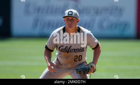 California first baseman Andrew Vaughn fields during an NCAA