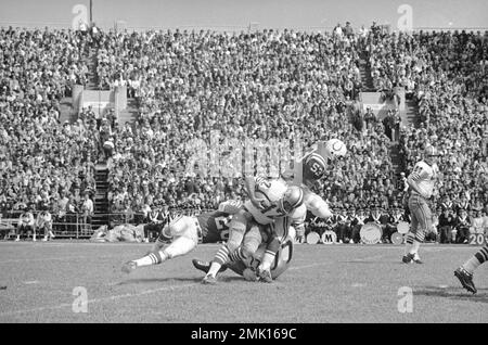 Quarterback John Brodie of the San Francisco 49ers gets dumped in