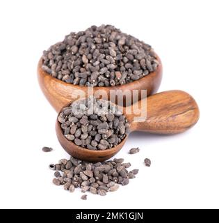 Borage seeds in wooden bowl, isolated on a white background. Borago officinalis seeds Stock Photo
