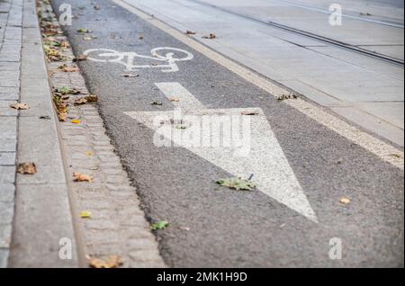 fallen leaves on narrow asphalt road for cyclists  Stock Photo