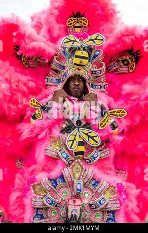 wild tchoupitoulas mardi gras indians