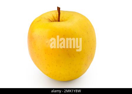 Golden Delicious apple isolated on white with clipping path included Stock Photo