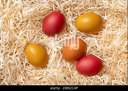 Colorful Easter eggs in a nest of wood wool, from above. Paschal eggs, hard boiled colorful dyed chicken eggs, in a soft bed of wood slivers. Stock Photo