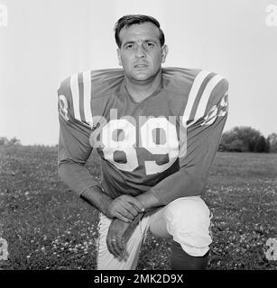 Baltimore Colt Coach Don Shula, center, named as Coach of the Year in the  National Football League, is congratulated by two of the Colts? defensive  standouts, Gino Marchetti, left, and Bill Pellington