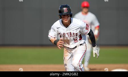 Quinn Hoffman plays baseball at Harvard