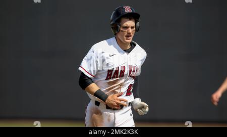 Quinn Hoffman plays baseball at Harvard