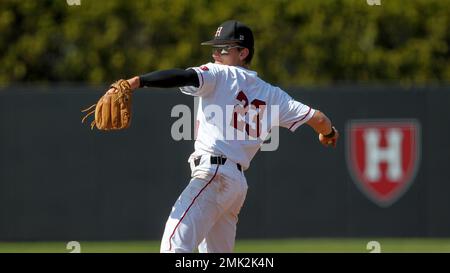 Quinn Hoffman plays baseball at Harvard