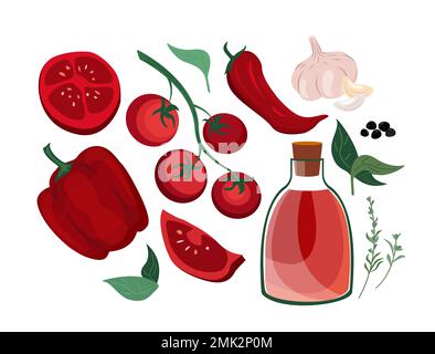 Ketchup tomato sauce bottle,chilli,leaf of basil,bell pepper,sliced tomatoes,branch of cherry. Set for sauce cooking.Vector flat color illustrationfor Stock Photo