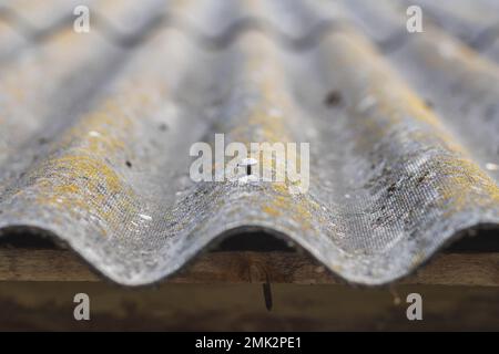 A huge nail in an old moss-covered roof Stock Photo