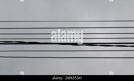 pattern abstract background of black electrical wires that form parallel lines. Stock Photo