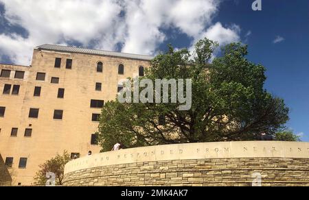 The Survivor Tree, a 100-year-old Elm tree that survived the Murrah ...